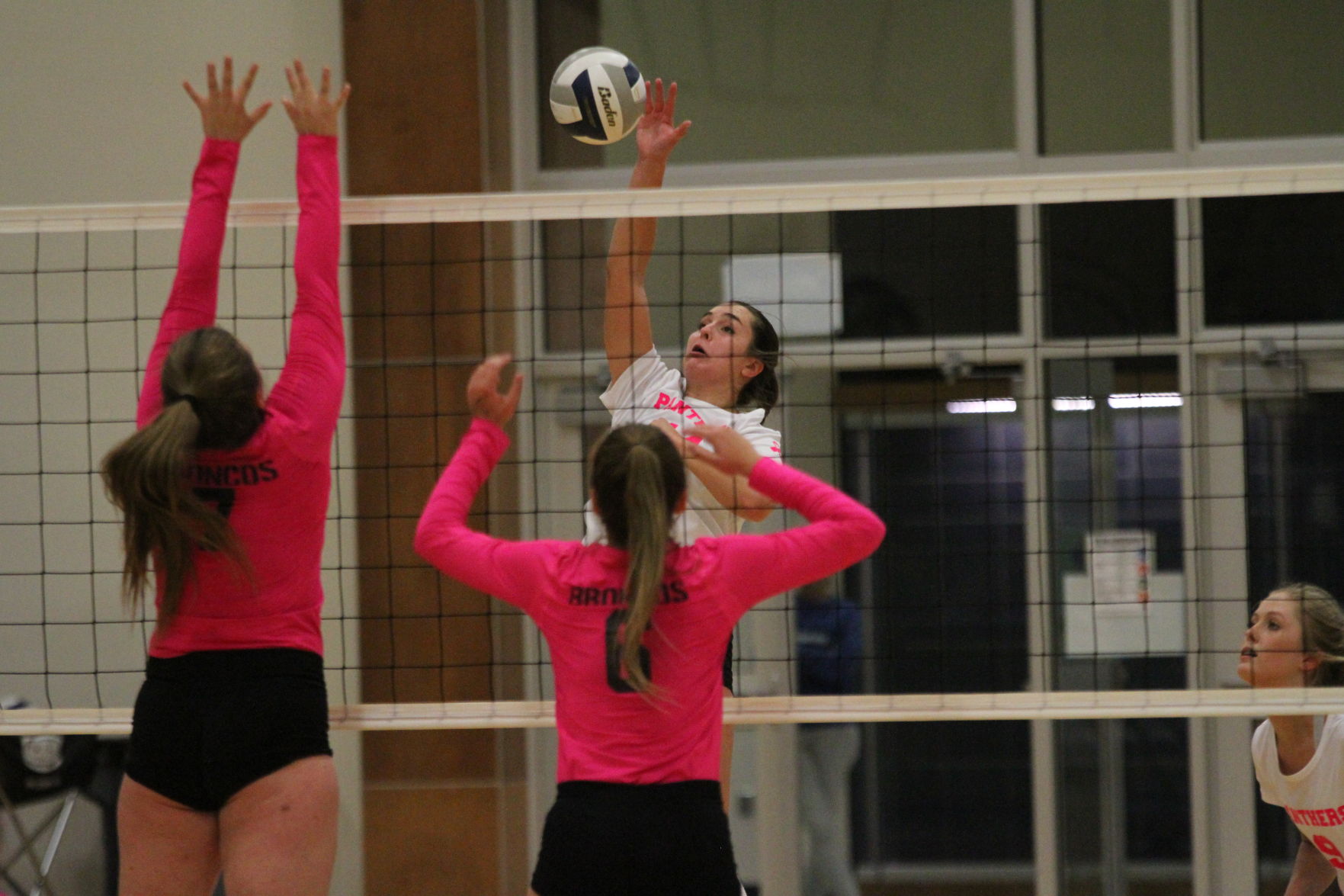 Volleyball (82).JPG